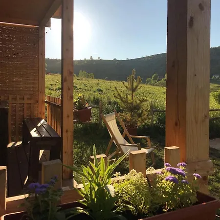 Case de vacanță Woody Uvacko Jezero Nova Varoš