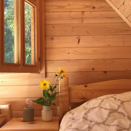 Woody Uvacko Jezero * Nova Varoš