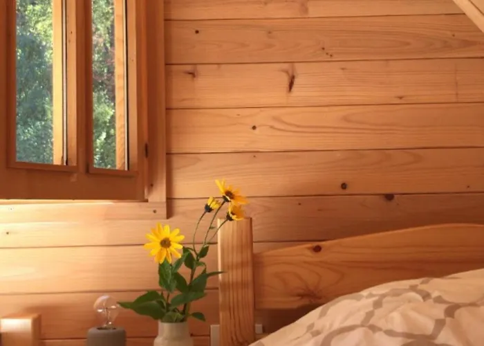 Woody Uvacko Jezero * Nova Varoš